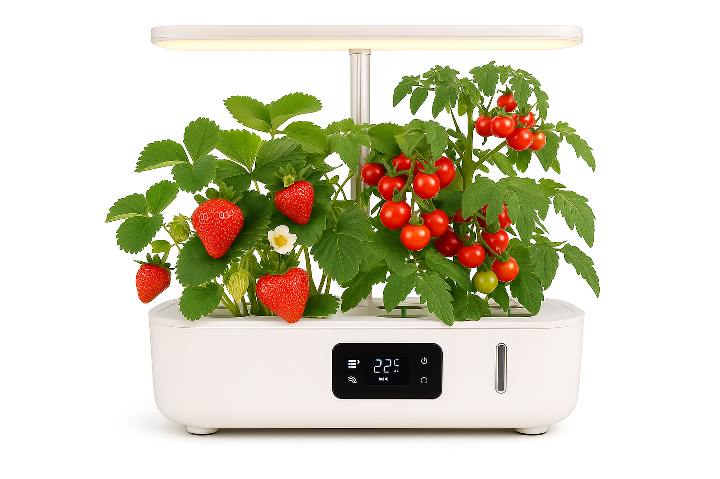 UrbanRoot