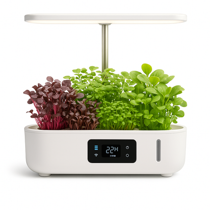 UrbanRoot