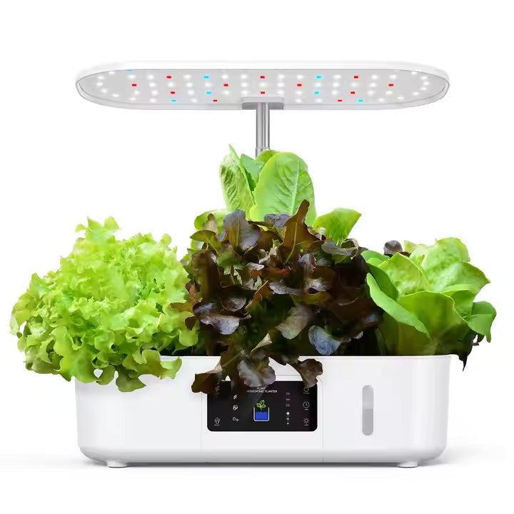 UrbanRoot
